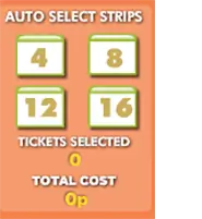 90-ball ticket selection